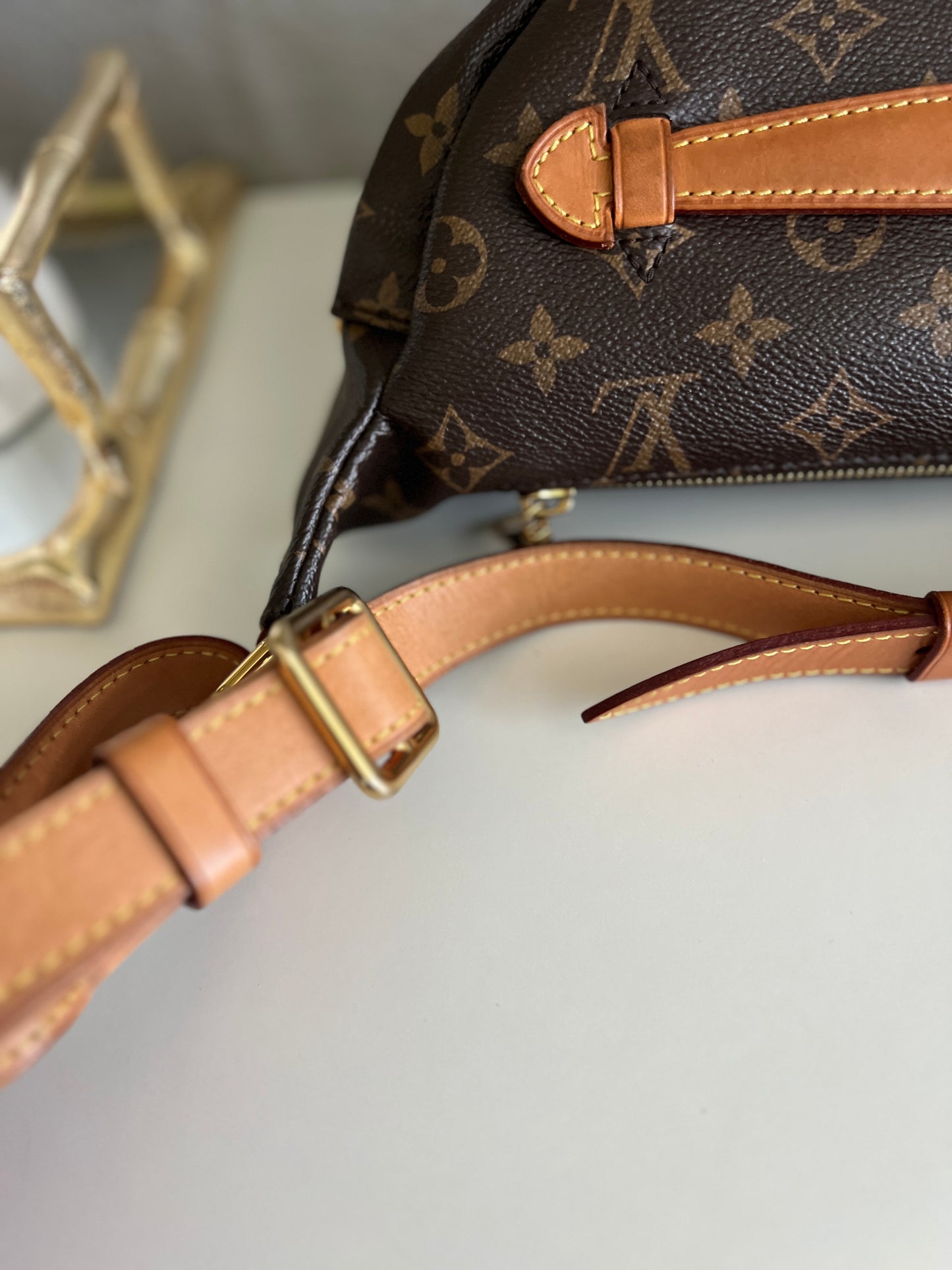 Louis Vuitton Monogram Canvas Bumbag