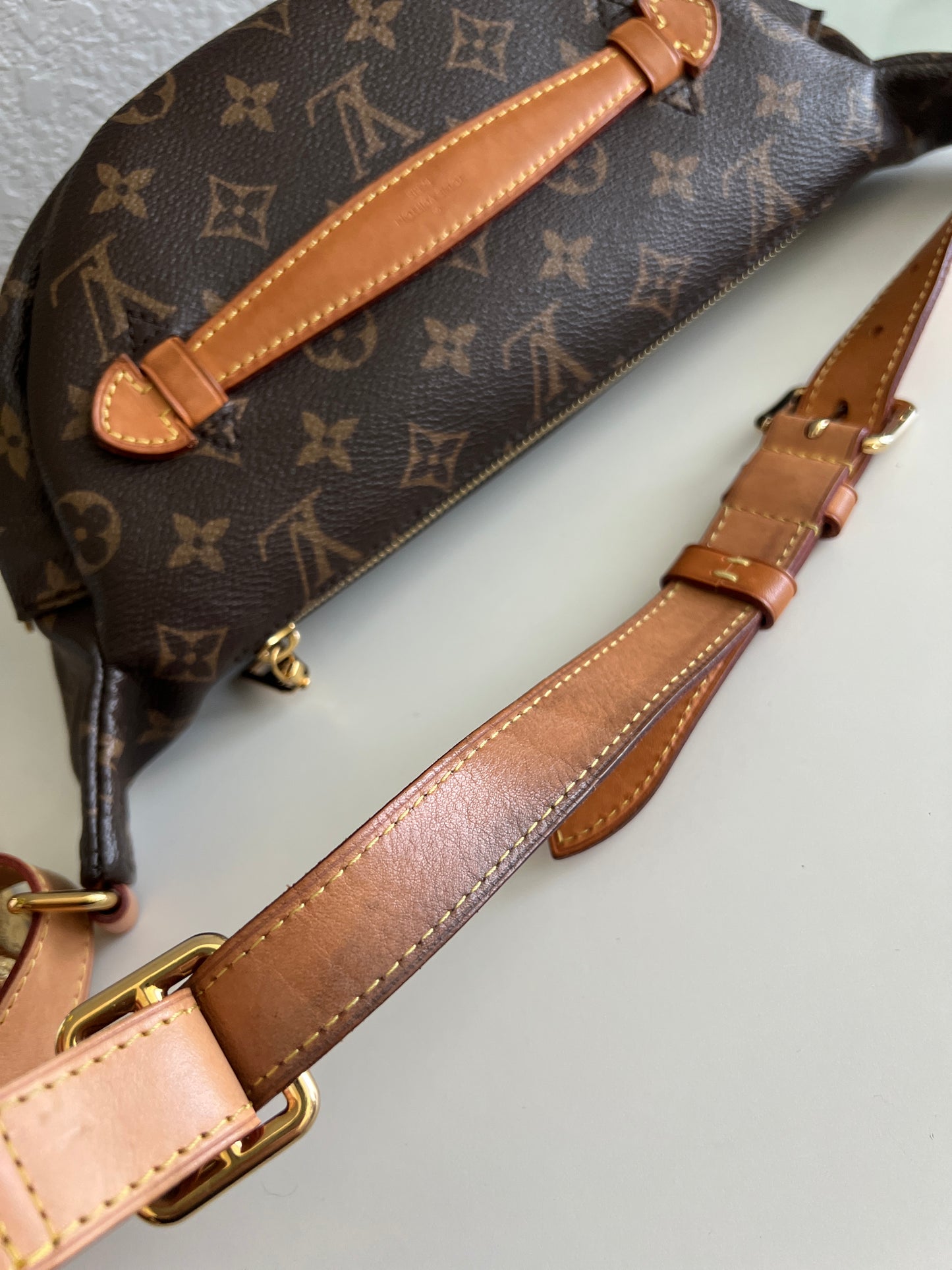 Louis Vuitton Monogram Canvas Bumbag