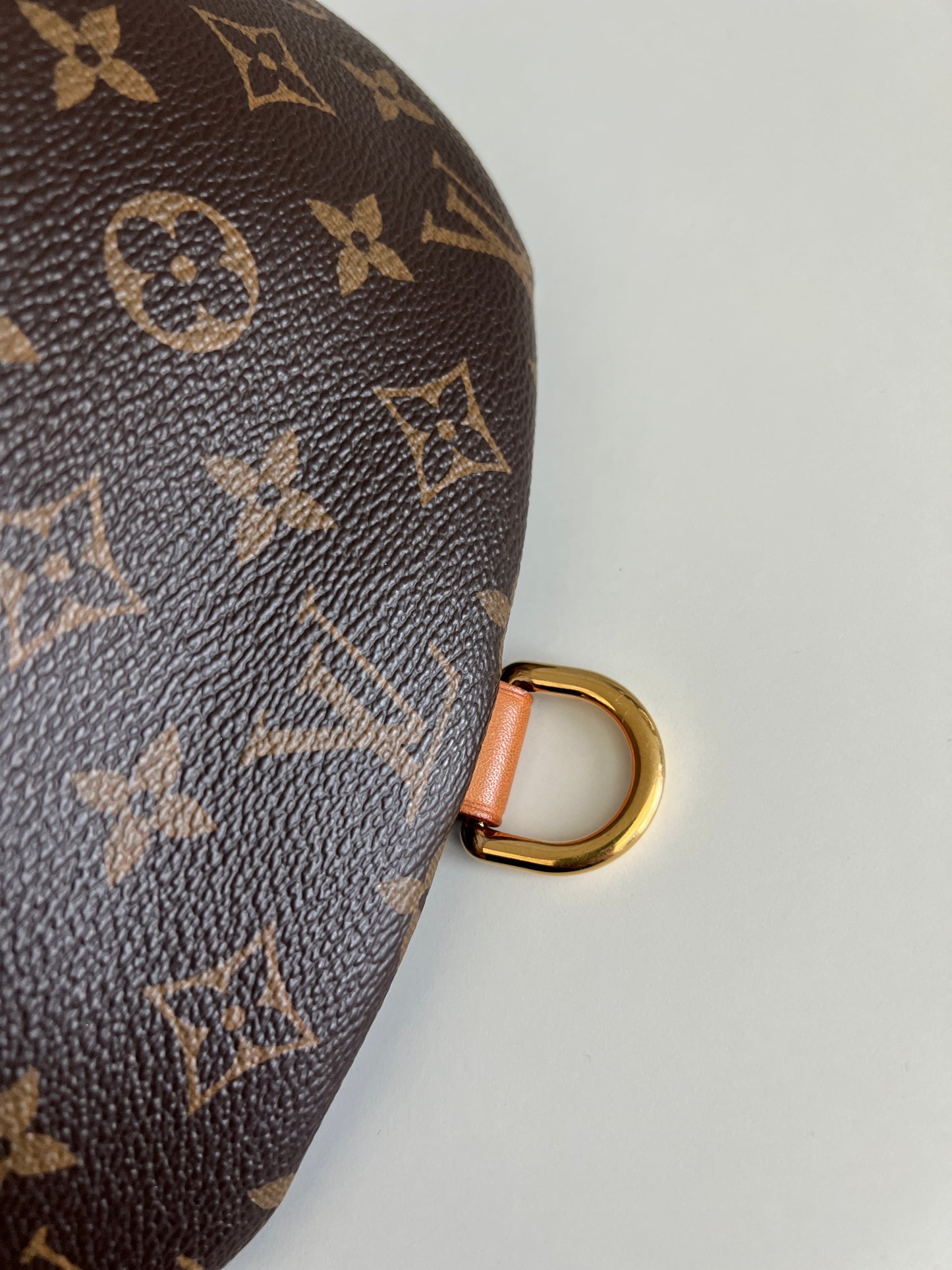 Louis Vuitton Monogram Canvas Bumbag