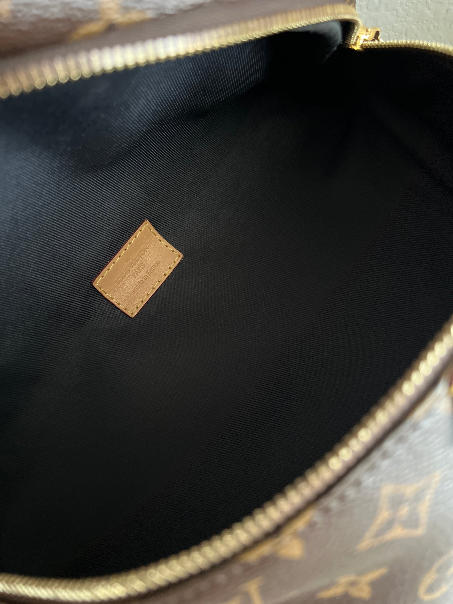 Louis Vuitton Monogram Canvas Bumbag