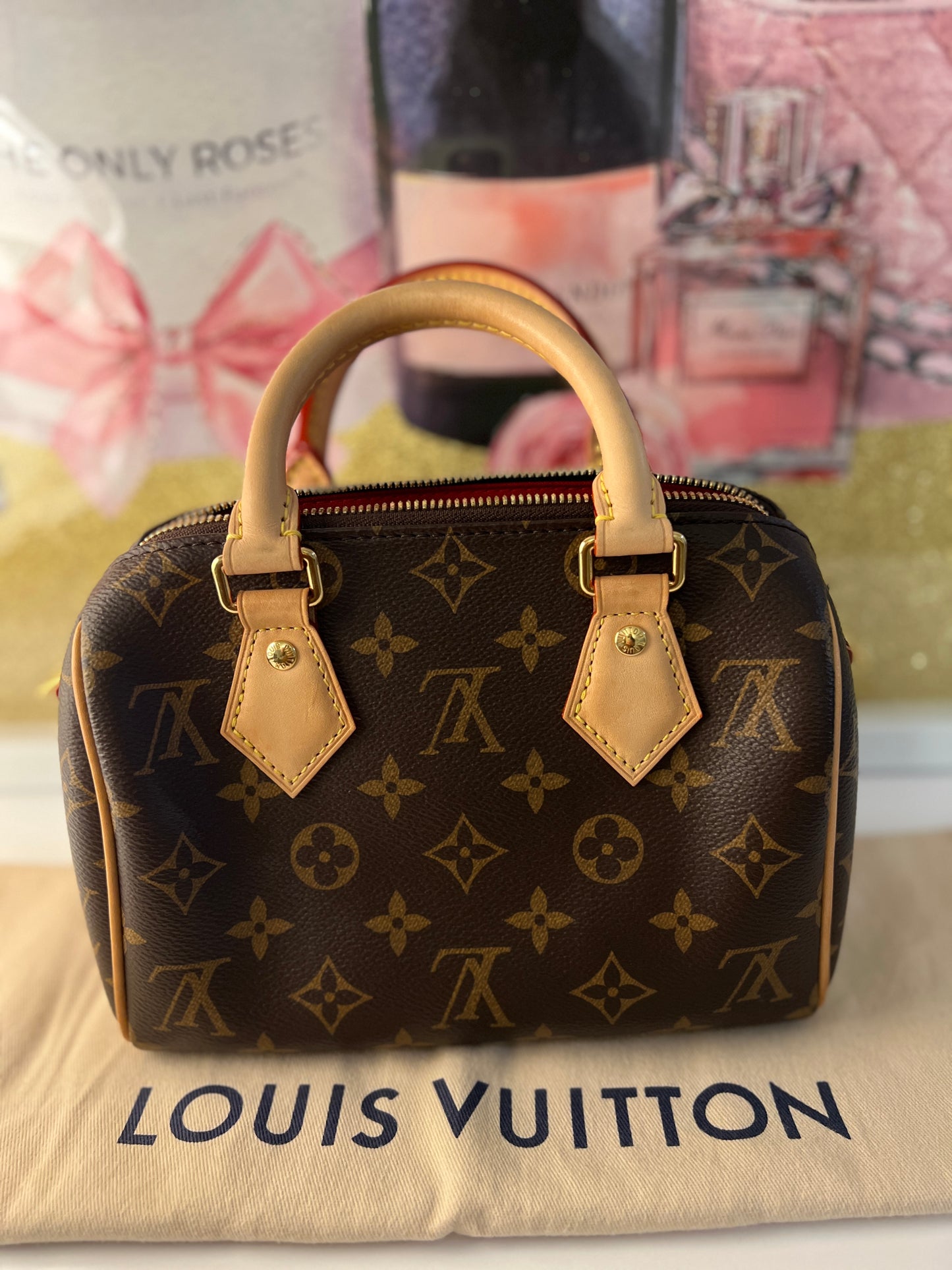 Louis Vuitton Speedy 20 - No strap