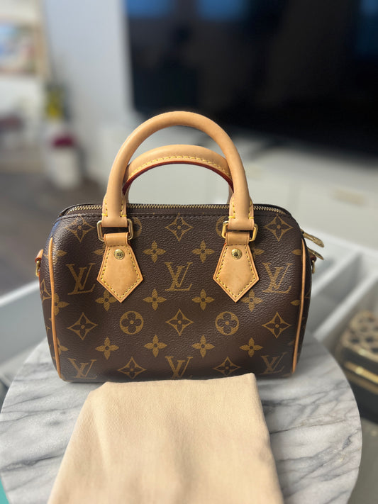Louis Vuitton Speedy 20