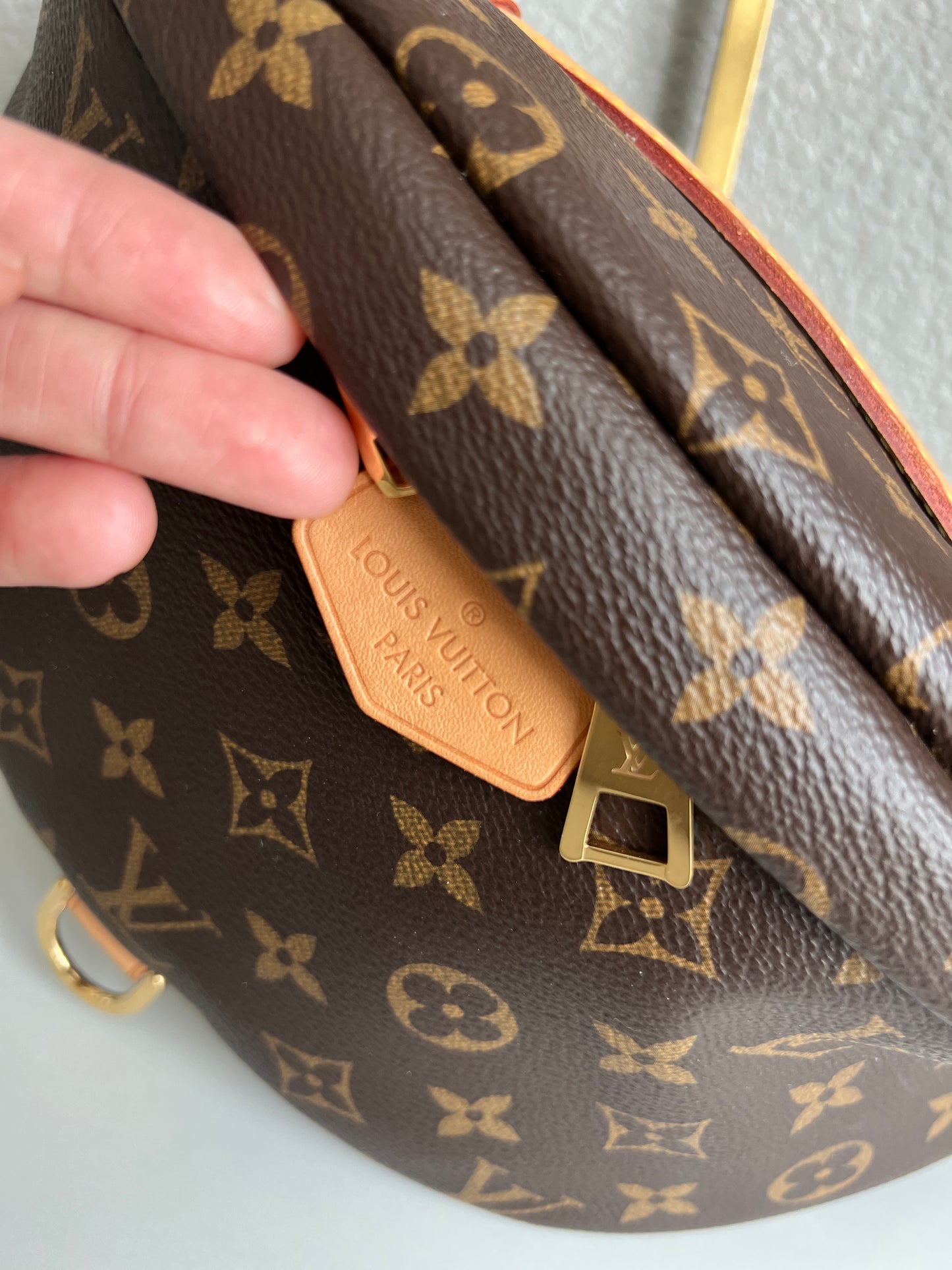 Louis Vuitton Monogram Bum Bag