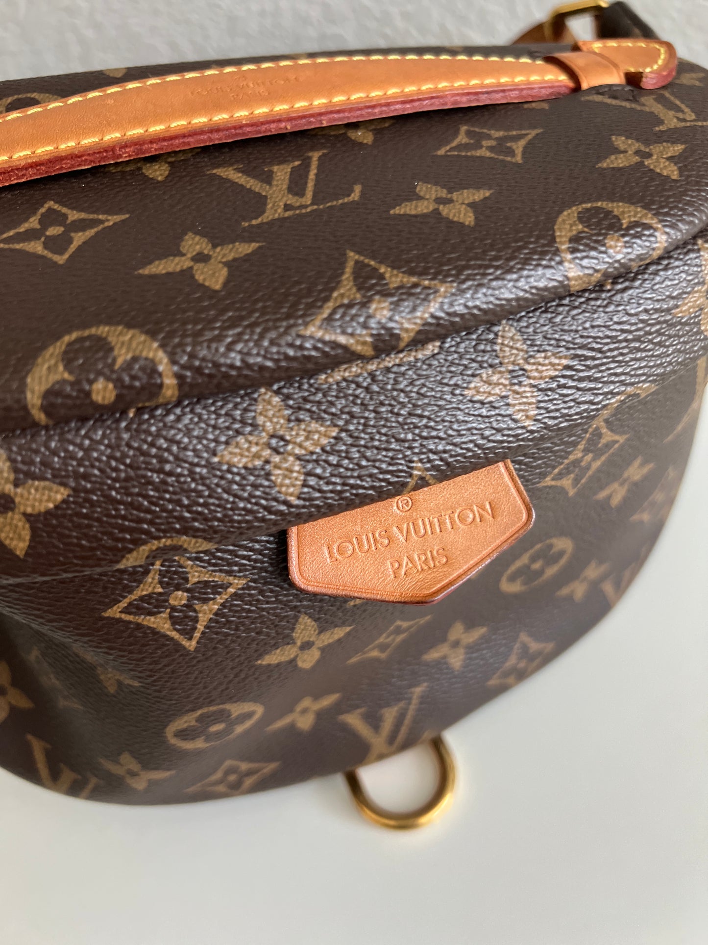 Louis Vuitton Monogram Canvas Bumbag